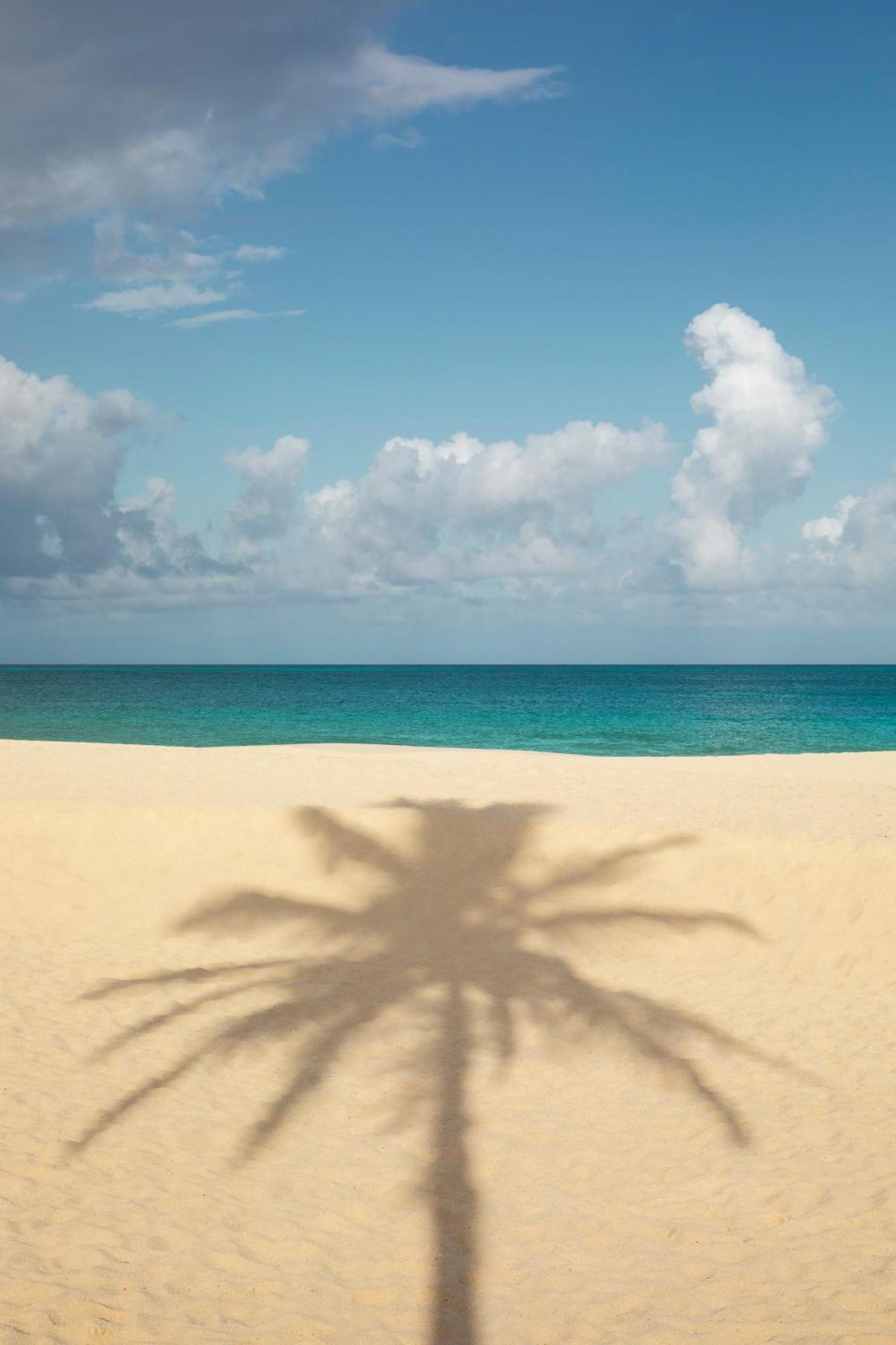 Joia Aruba By Iberostar Hotel Palm Beach Bagian luar foto